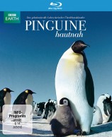 Pinguine Hautnah (Blu-ray) 