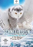 Schnee-Eulen - Schwingen über der Arktis (DVD) 