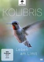 Kolibris - Leben am Limit (DVD) 