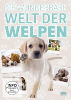 Die wunderbare Welt der Welpen - 2. Auflage (DVD) 