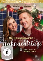 Schicksalhafte Weihnachtstage - Destined At Christmas (DVD) 