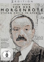 Vor der Morgenröte - Stefan Zweig in Amerika (DVD) 