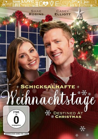 Schicksalhafte Weihnachtstage - Destined At Christmas (DVD)