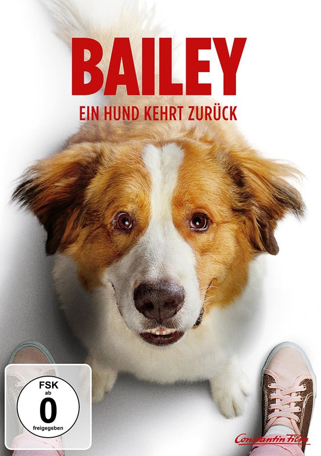 Bailey Ein Hund kehrt zurück (DVD)