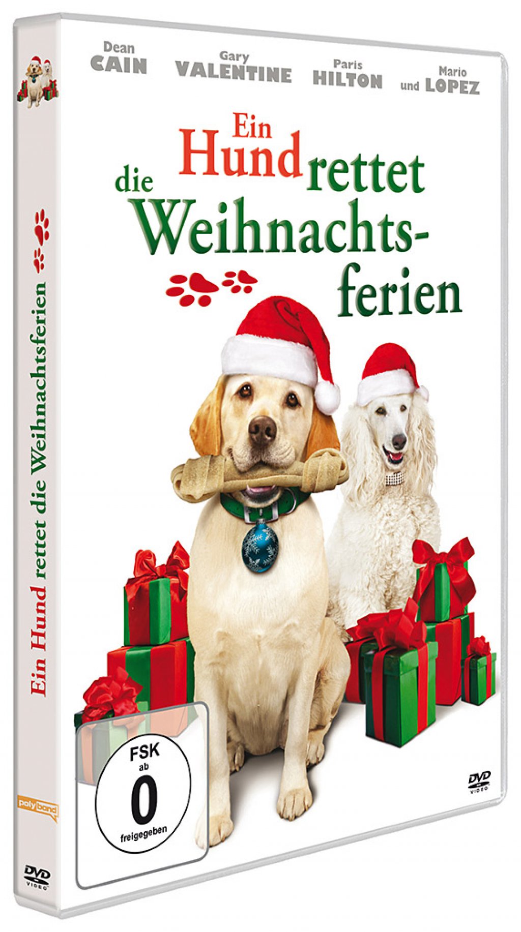 Ein Hund rettet die Weihnachtsferien (DVD)